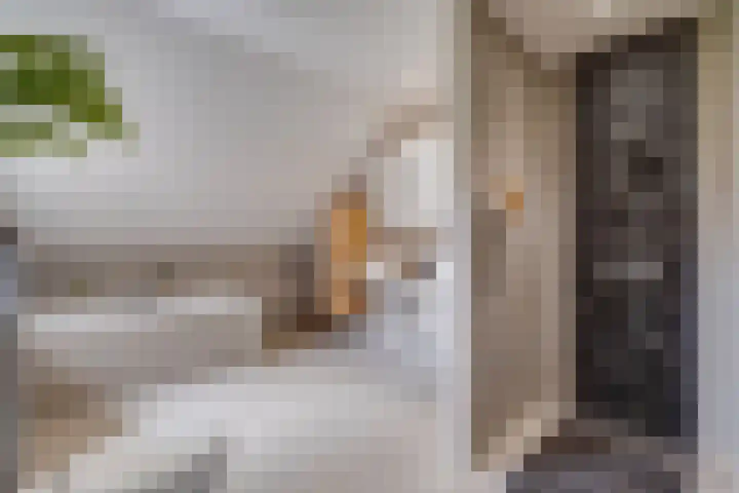Lariksstraat 18 Echt thumbnail 4