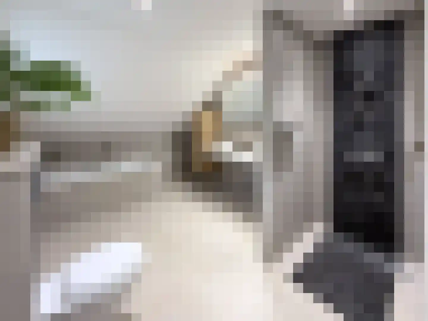 Lariksstraat 18 Echt thumbnail 4