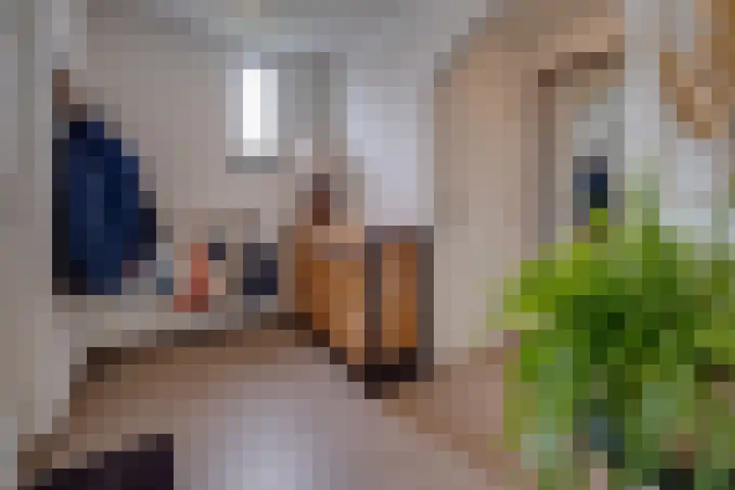 Lariksstraat 18 Echt thumbnail 7