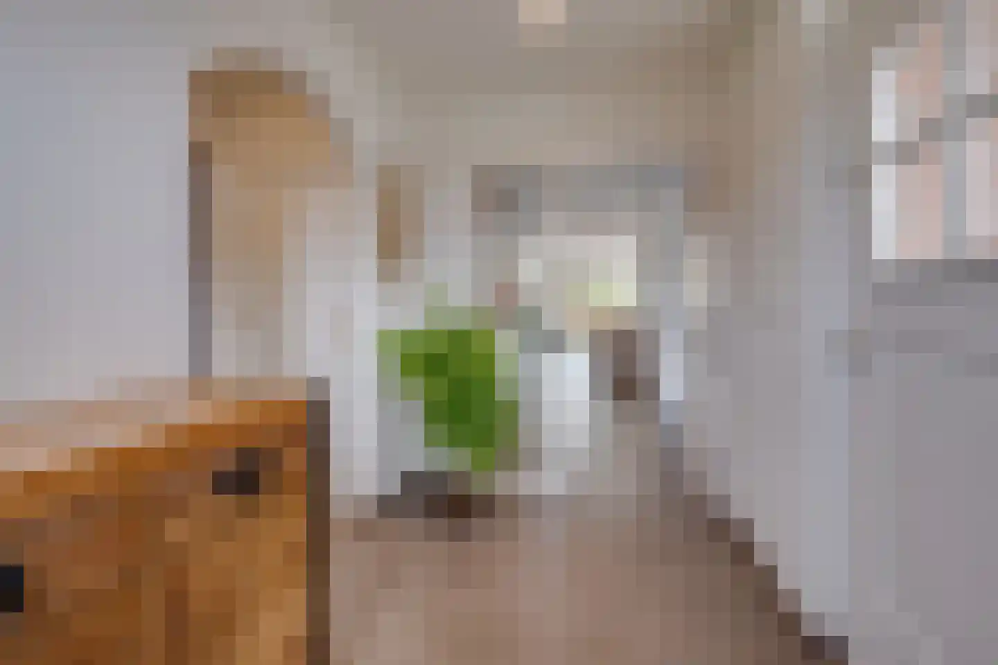 Lariksstraat 18 Echt thumbnail 8
