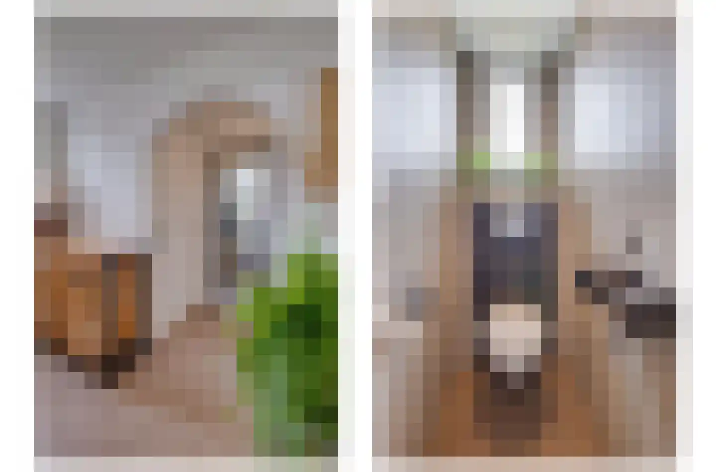 Lariksstraat 18 Echt thumbnail 9