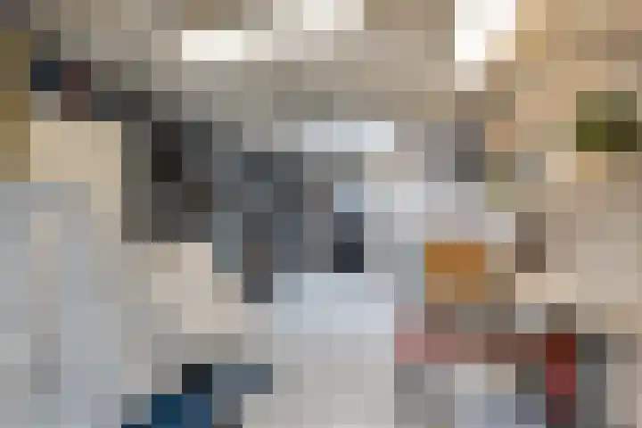 Lariksstraat 18 Lichtenvoorde thumbnail 33