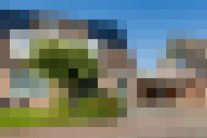 Lariksstraat 18 Lichtenvoorde thumbnail 5