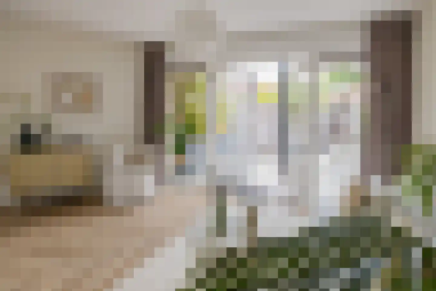 Lariksstraat 2 B IJmuiden thumbnail 13