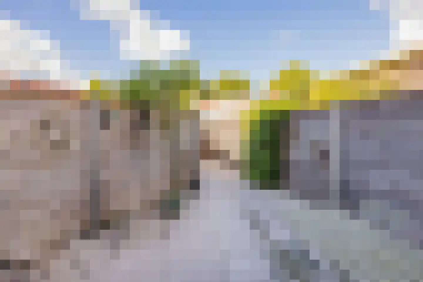 Lariksstraat 2 B IJmuiden thumbnail 18