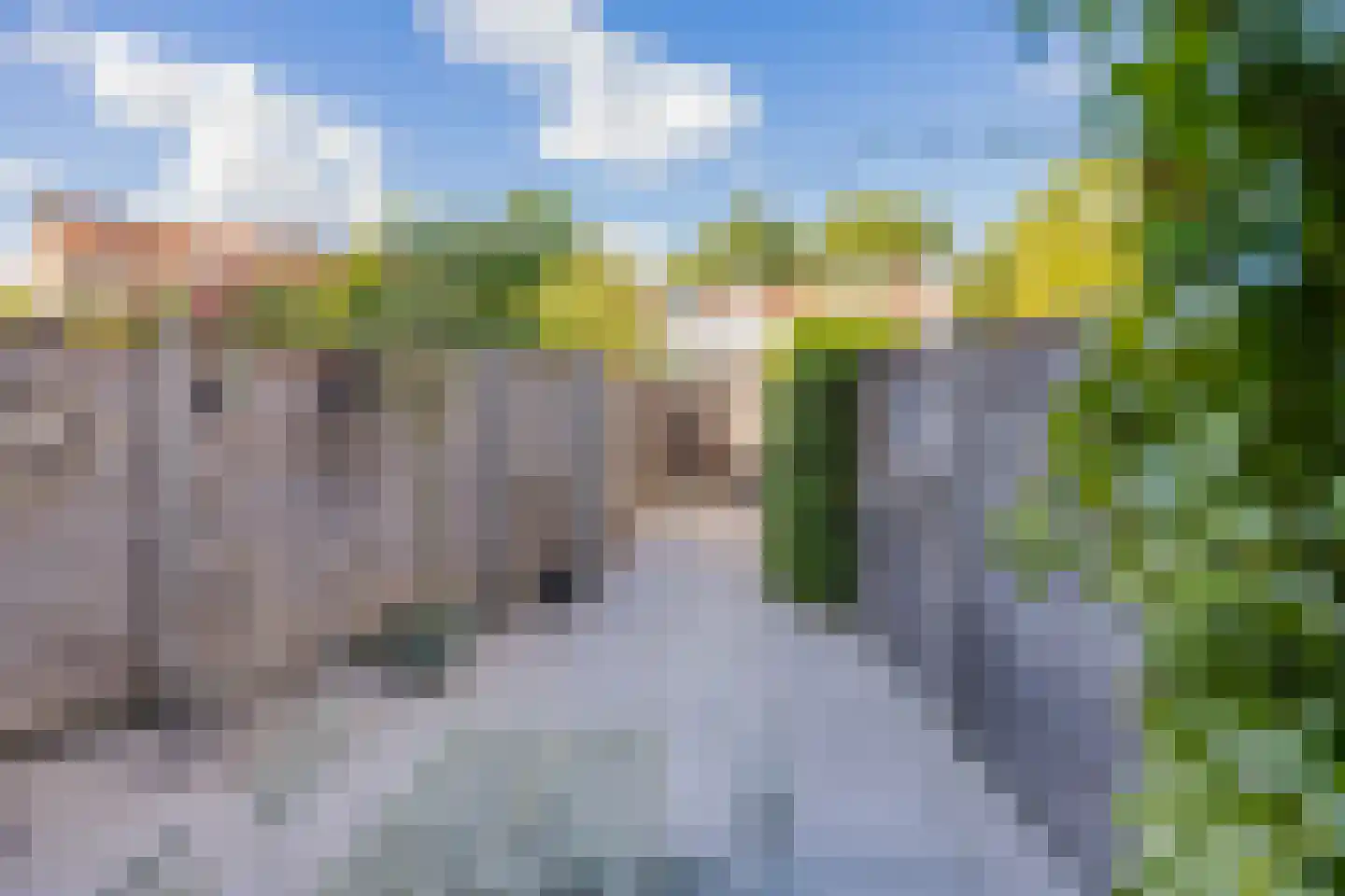 Lariksstraat 2 B IJmuiden thumbnail 19
