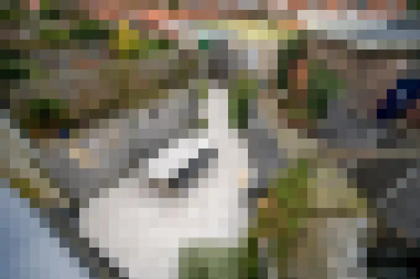 Lariksstraat 2 B IJmuiden thumbnail 30