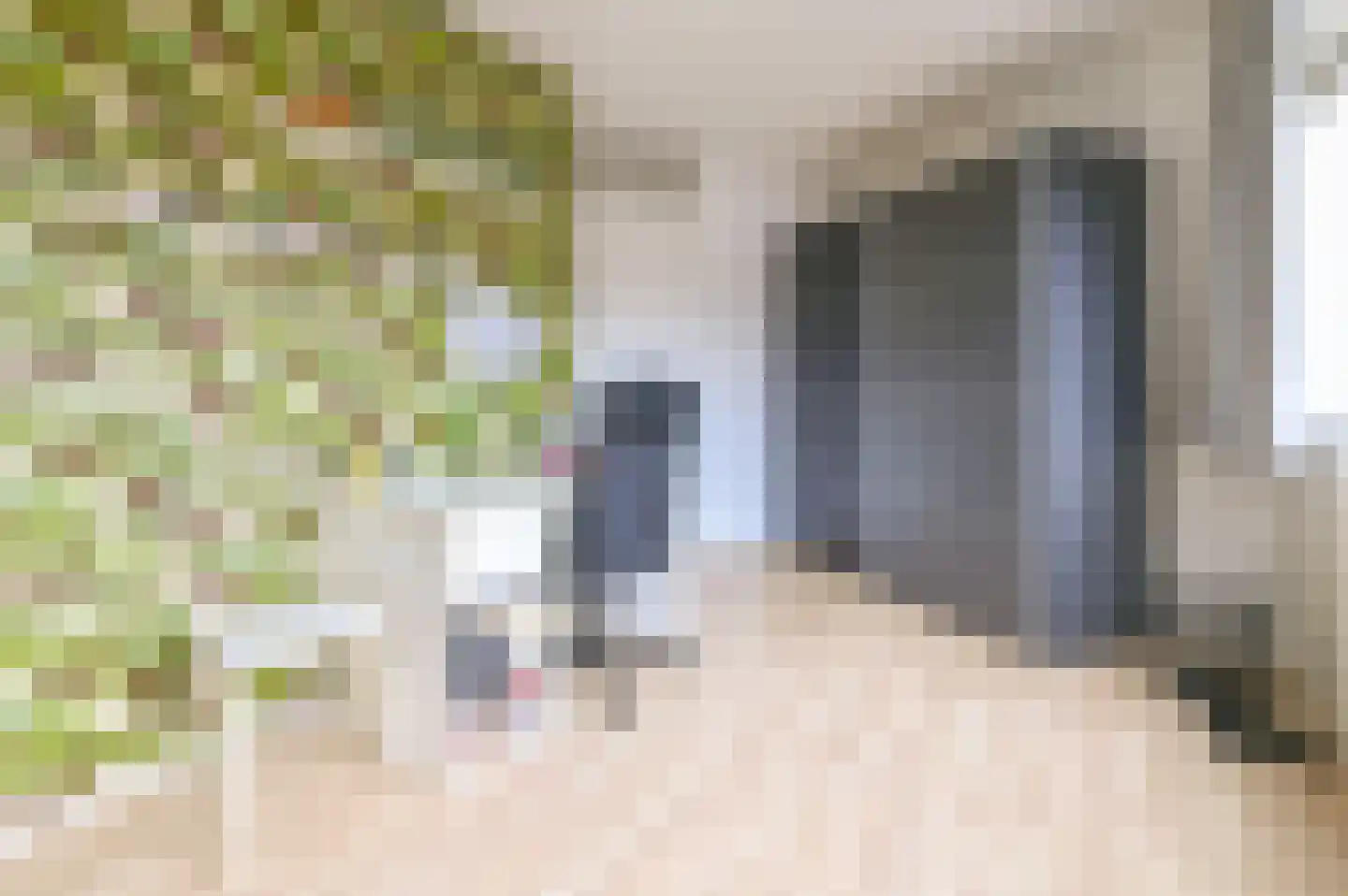 Lariksstraat 2 B IJmuiden thumbnail 32