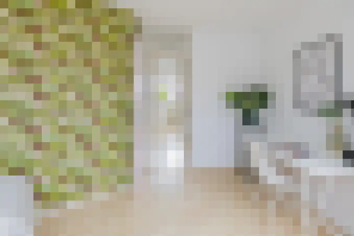 Lariksstraat 2 B IJmuiden thumbnail 34