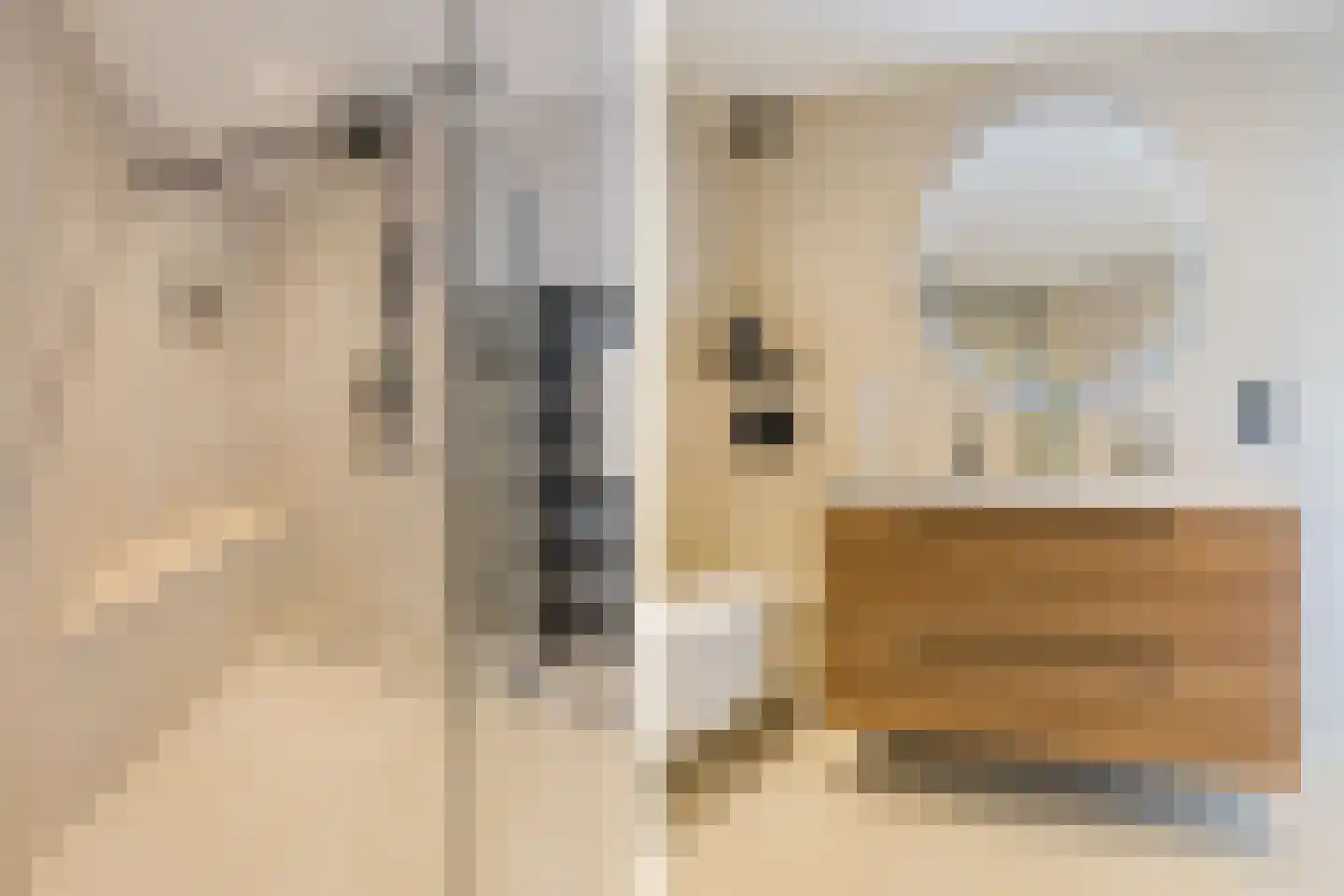 Lariksstraat 2 B IJmuiden thumbnail 5
