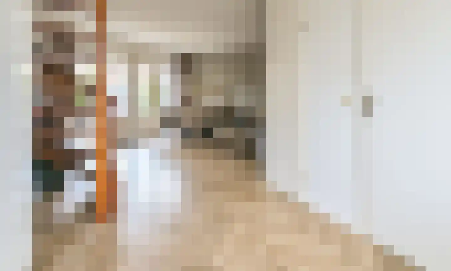 Lariksstraat 2 B IJmuiden thumbnail 9