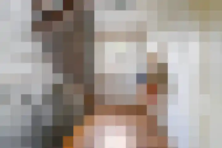 Lariksstraat 2 Nieuwkuijk thumbnail 15