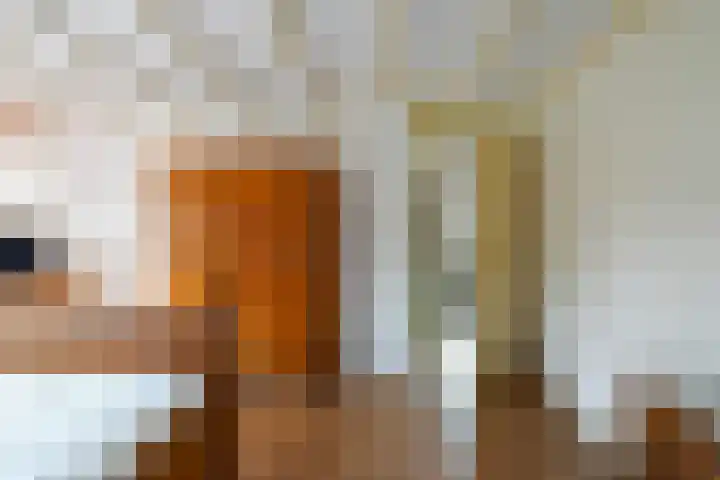 Lariksstraat 2 Nieuwkuijk thumbnail 19