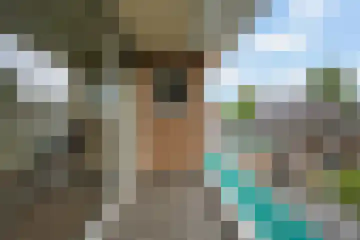 Lariksstraat 2 Nieuwkuijk thumbnail 22