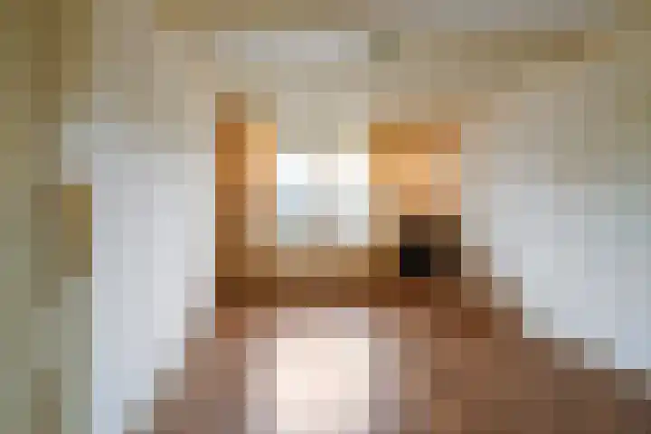 Lariksstraat 2 Nieuwkuijk thumbnail 24