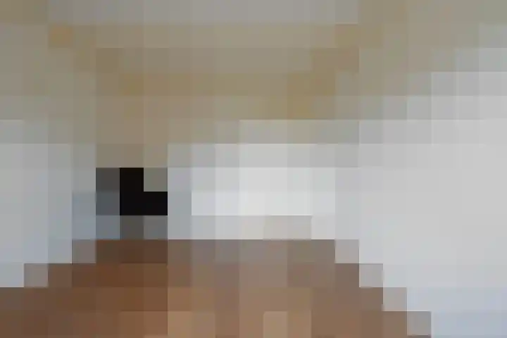 Lariksstraat 2 Nieuwkuijk thumbnail 25