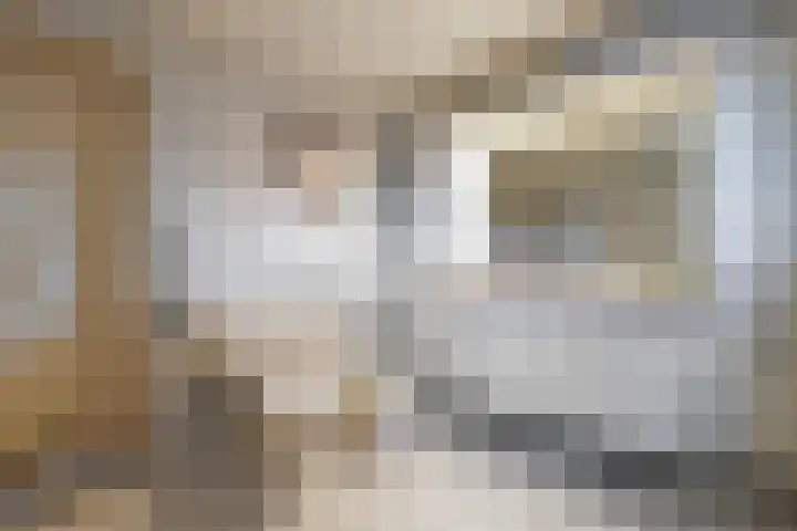 Lariksstraat 2 Nieuwkuijk thumbnail 28