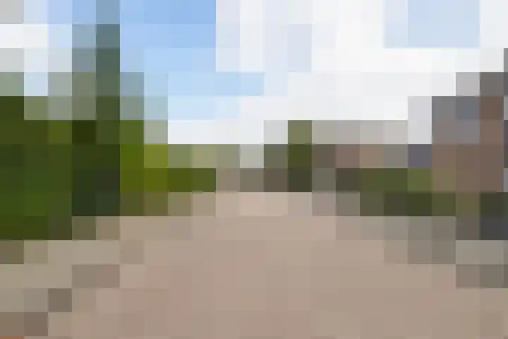 Lariksstraat 2 Nieuwkuijk thumbnail 40