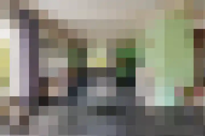 Lariksstraat 2 Nieuwkuijk thumbnail 6