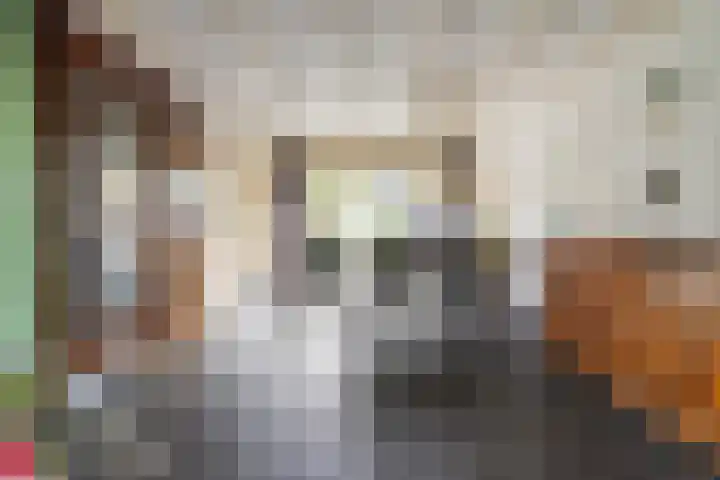 Lariksstraat 2 Nieuwkuijk thumbnail 9