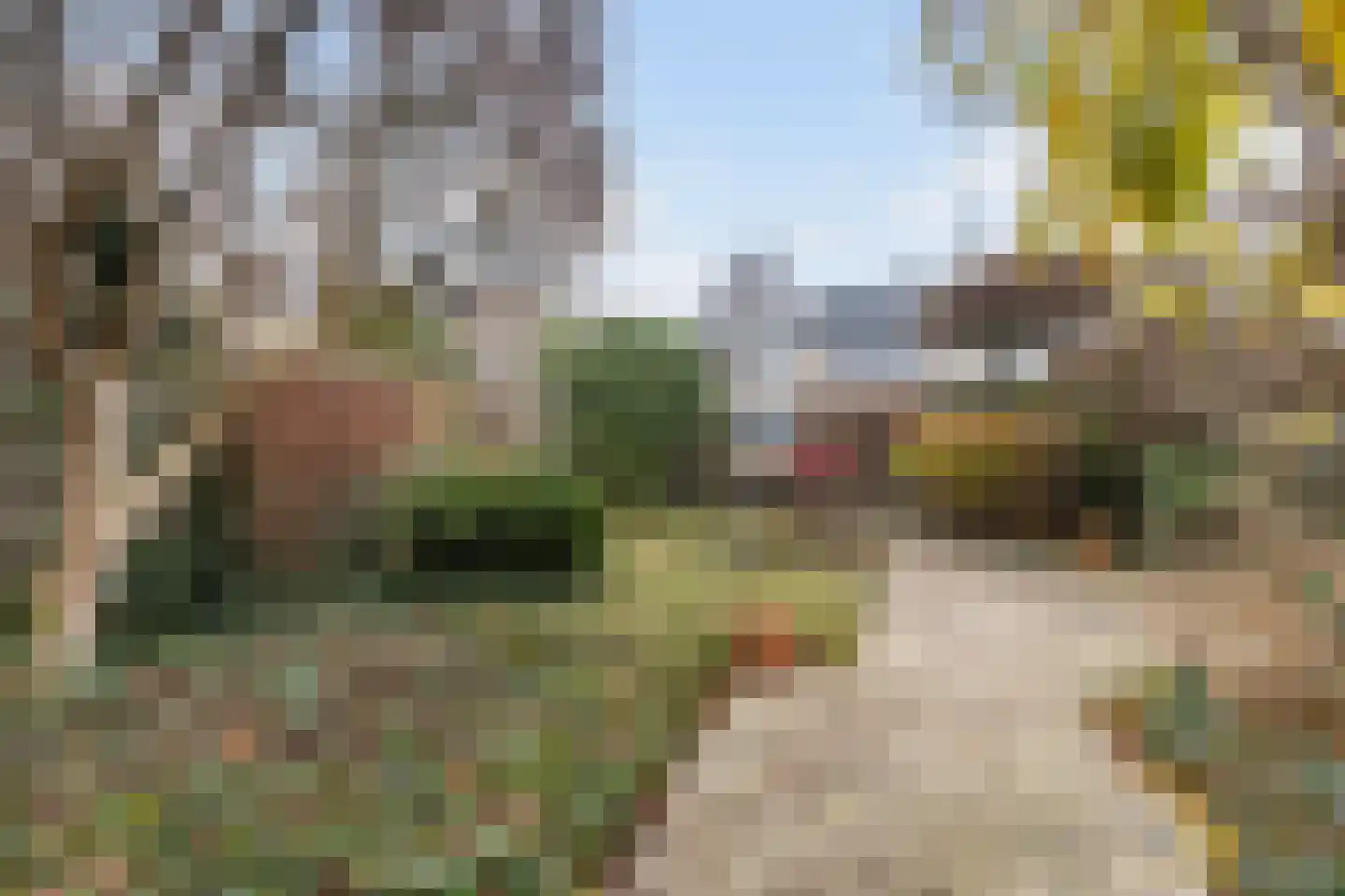 Lariksstraat 20 Dordrecht thumbnail 25
