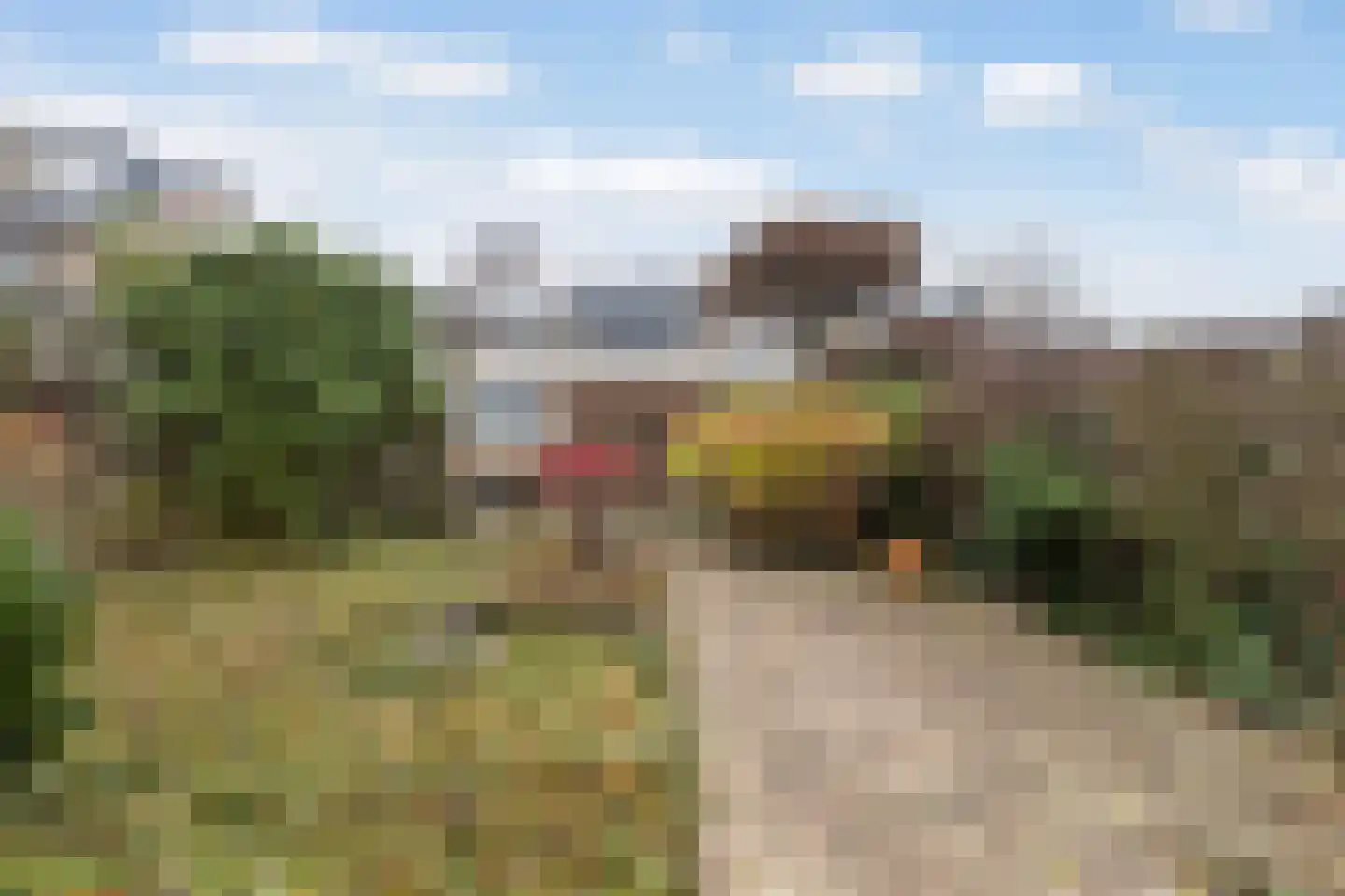 Lariksstraat 20 Dordrecht thumbnail 26