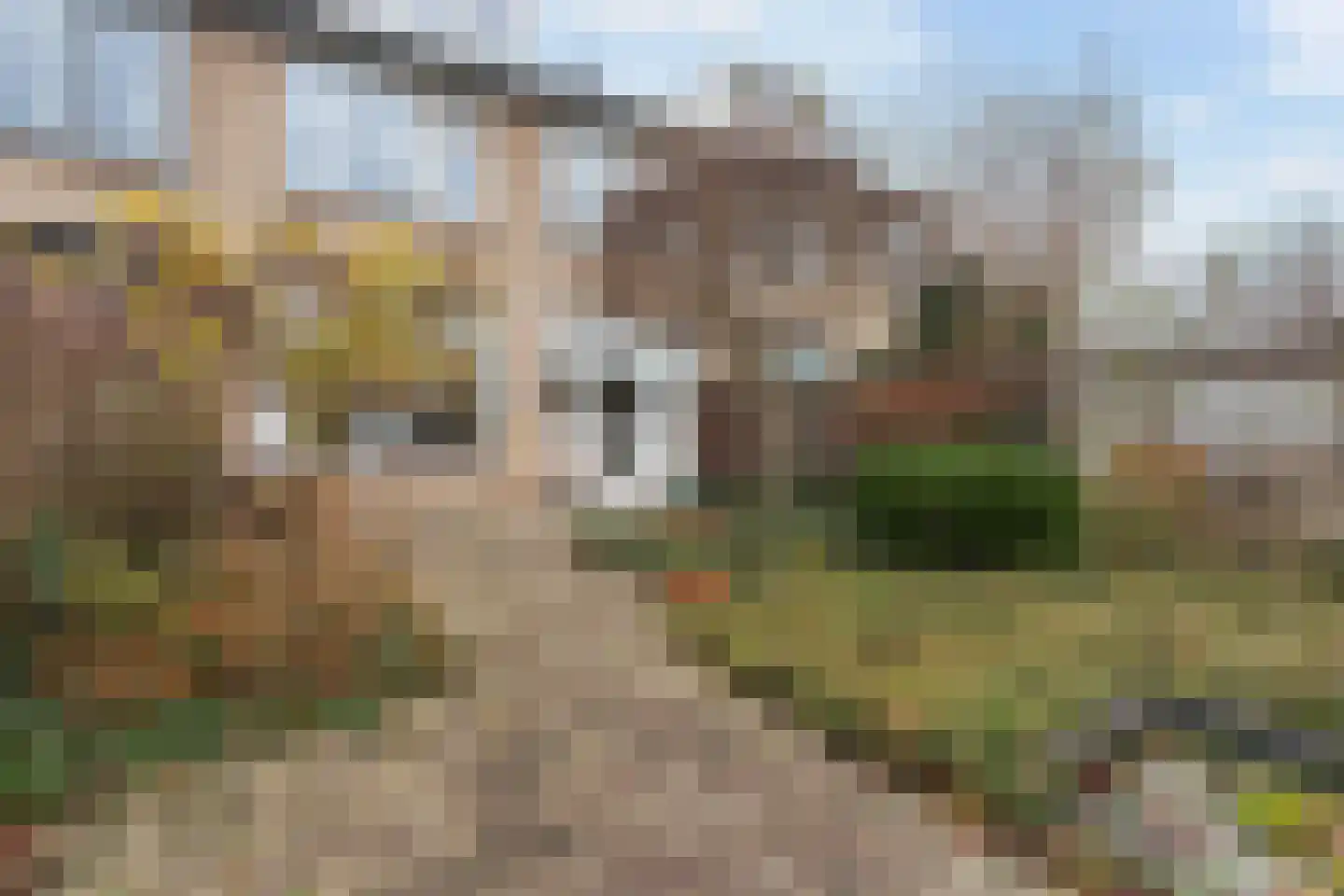 Lariksstraat 20 Dordrecht thumbnail 30