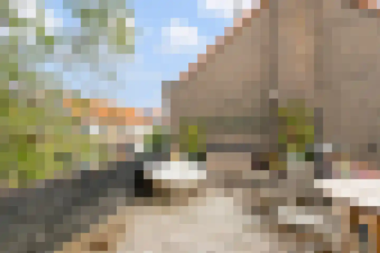 Lariksstraat 24 A Breda thumbnail 17