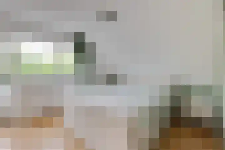 Lariksstraat 24 Lichtenvoorde thumbnail 36