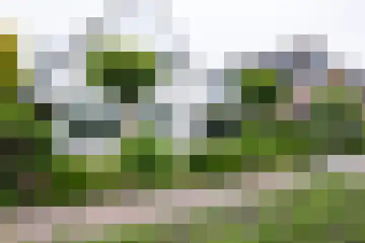 Lariksstraat 24 Lichtenvoorde thumbnail 4