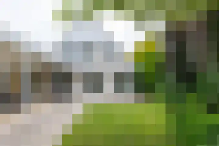 Lariksstraat 24 Lichtenvoorde thumbnail 51