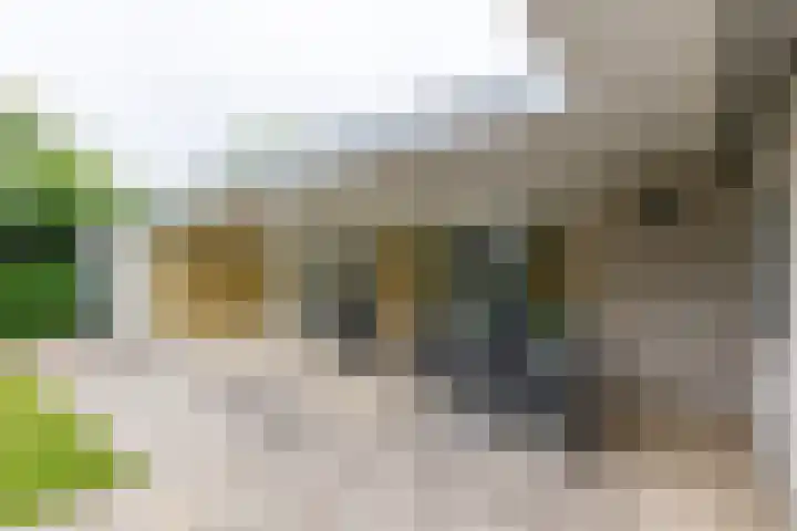Lariksstraat 24 Lichtenvoorde thumbnail 53