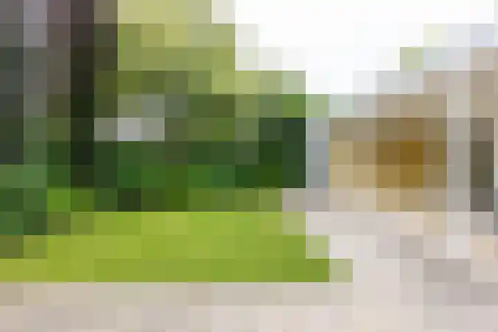 Lariksstraat 24 Lichtenvoorde thumbnail 55