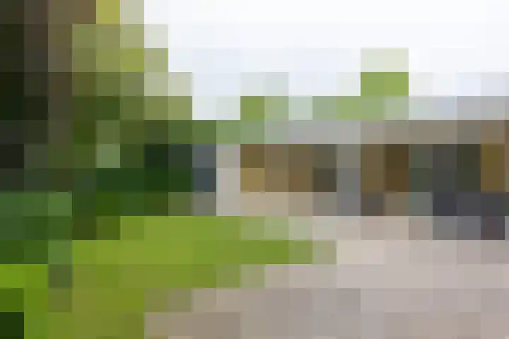 Lariksstraat 24 Lichtenvoorde thumbnail 57