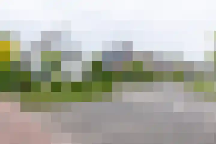 Lariksstraat 24 Lichtenvoorde thumbnail 58