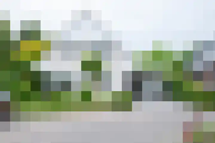 Lariksstraat 24 Lichtenvoorde thumbnail 71