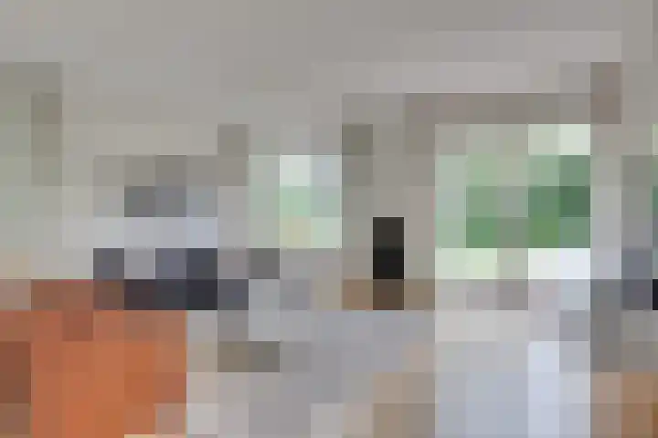 Lariksstraat 24 Lichtenvoorde thumbnail 9