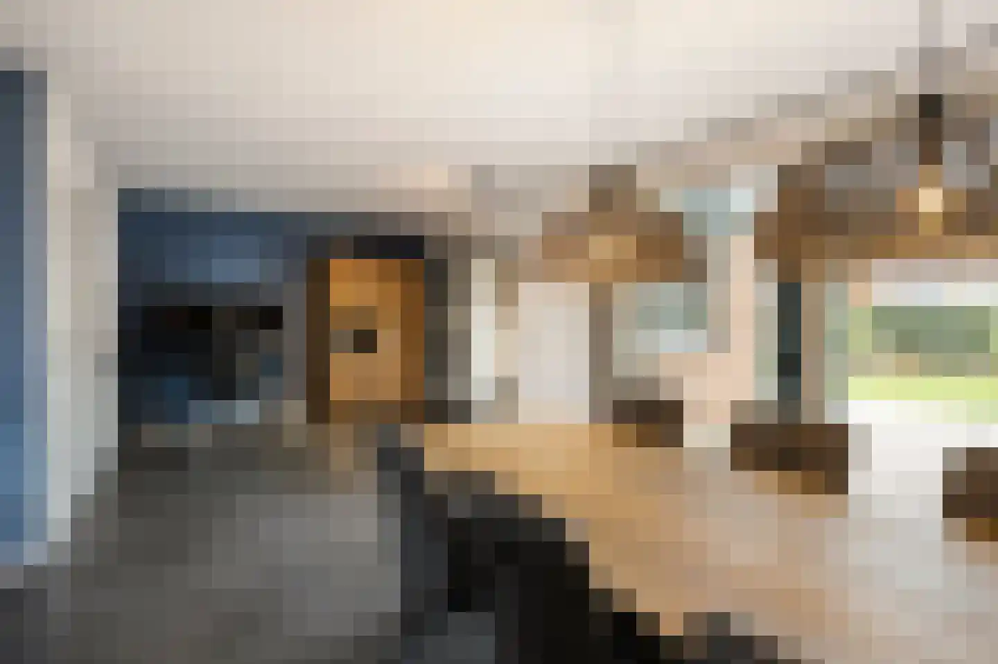 Lariksstraat 26 Echt thumbnail 13