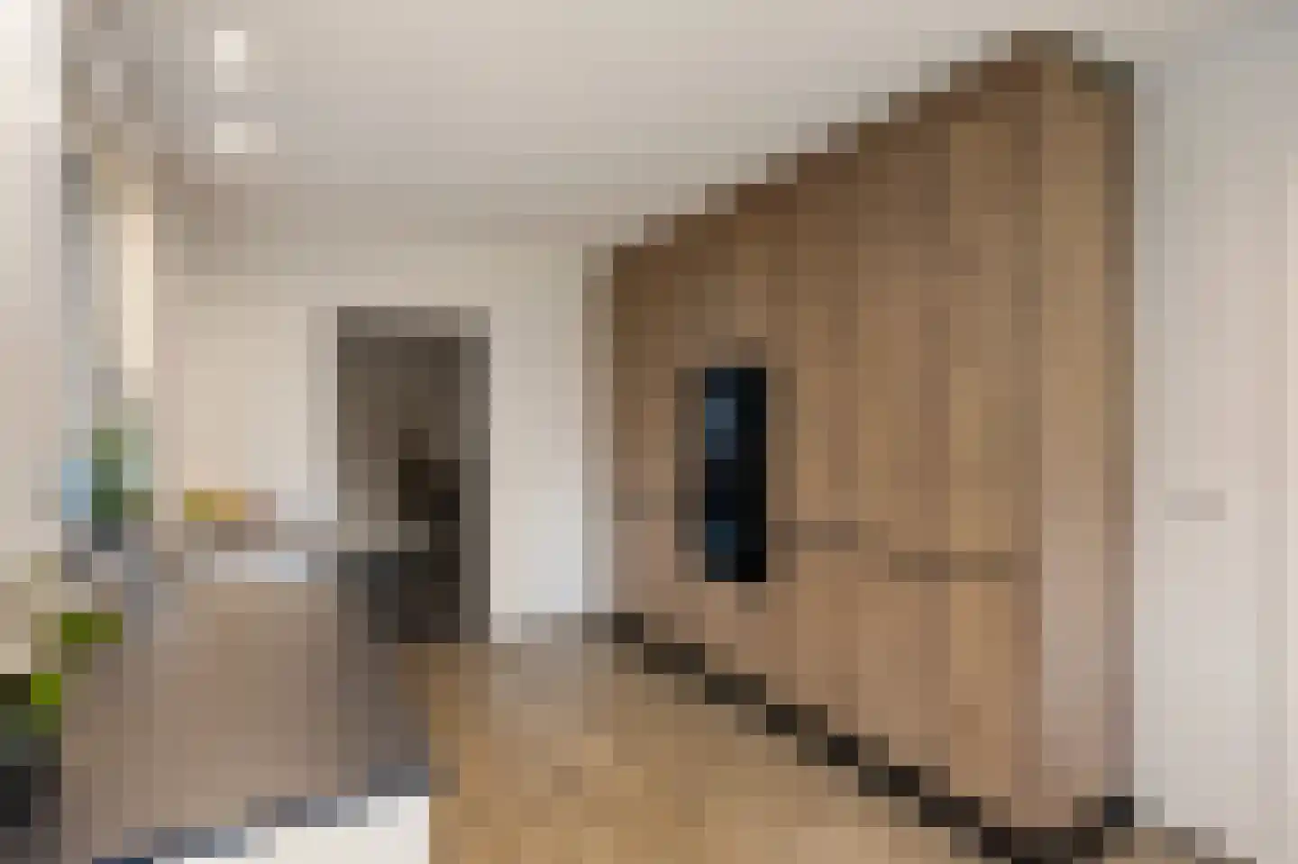 Lariksstraat 26 Echt thumbnail 19
