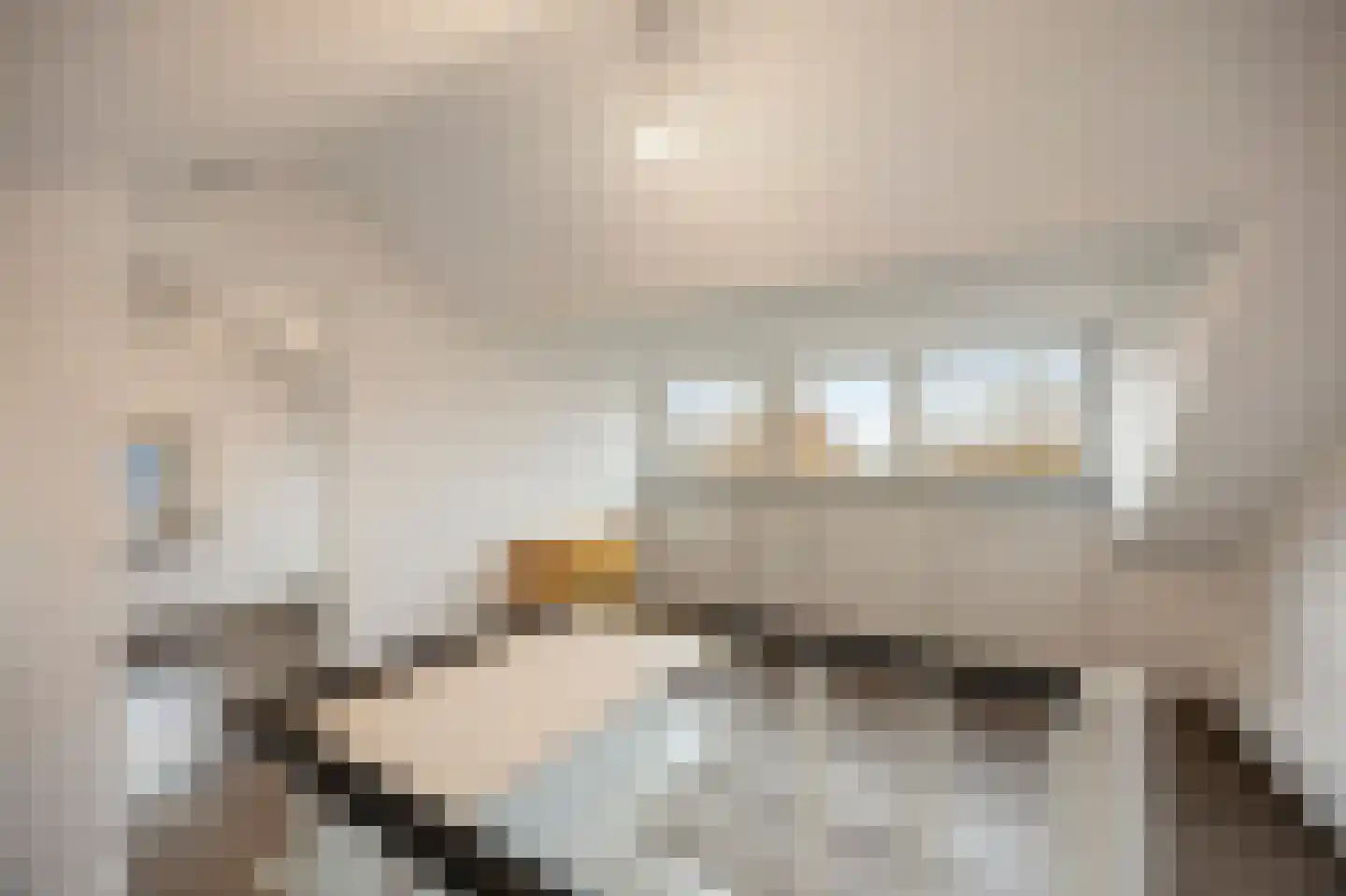 Lariksstraat 26 Echt thumbnail 35