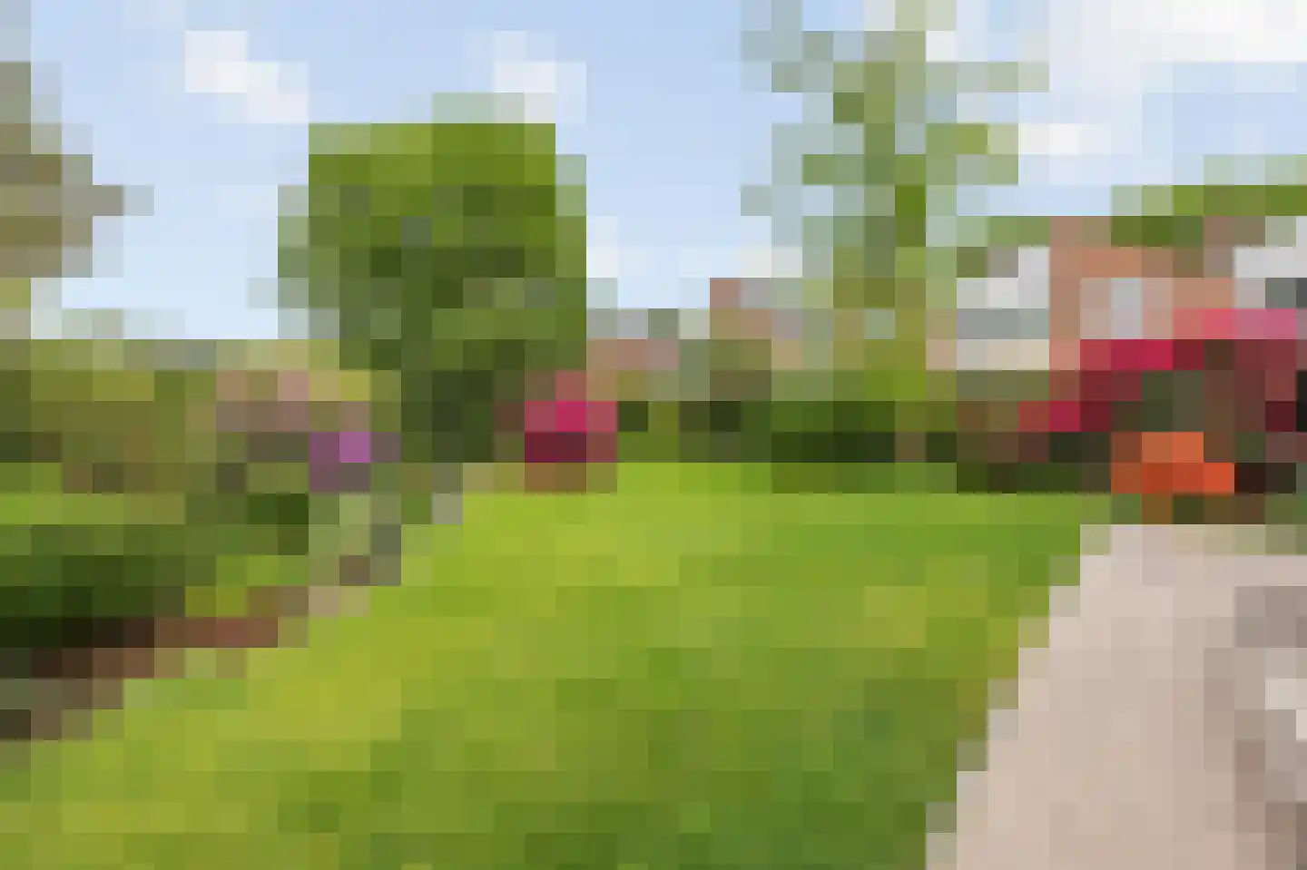 Lariksstraat 26 Echt thumbnail 43