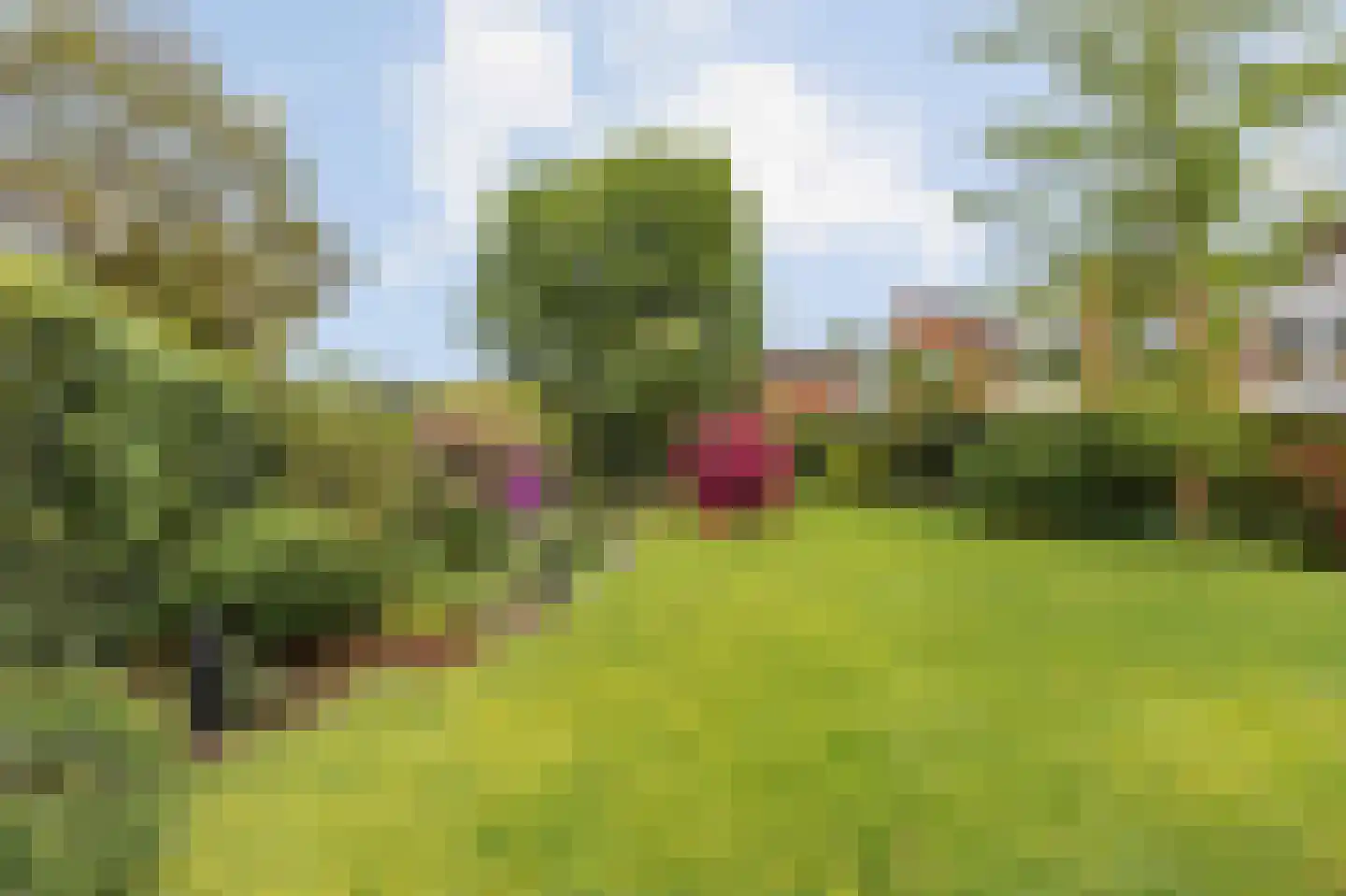 Lariksstraat 26 Echt thumbnail 48