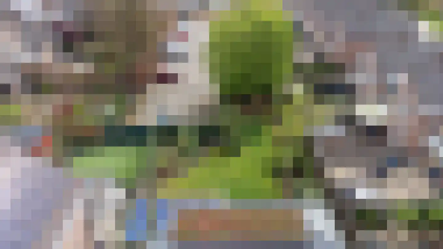 Lariksstraat 26 Echt thumbnail 52