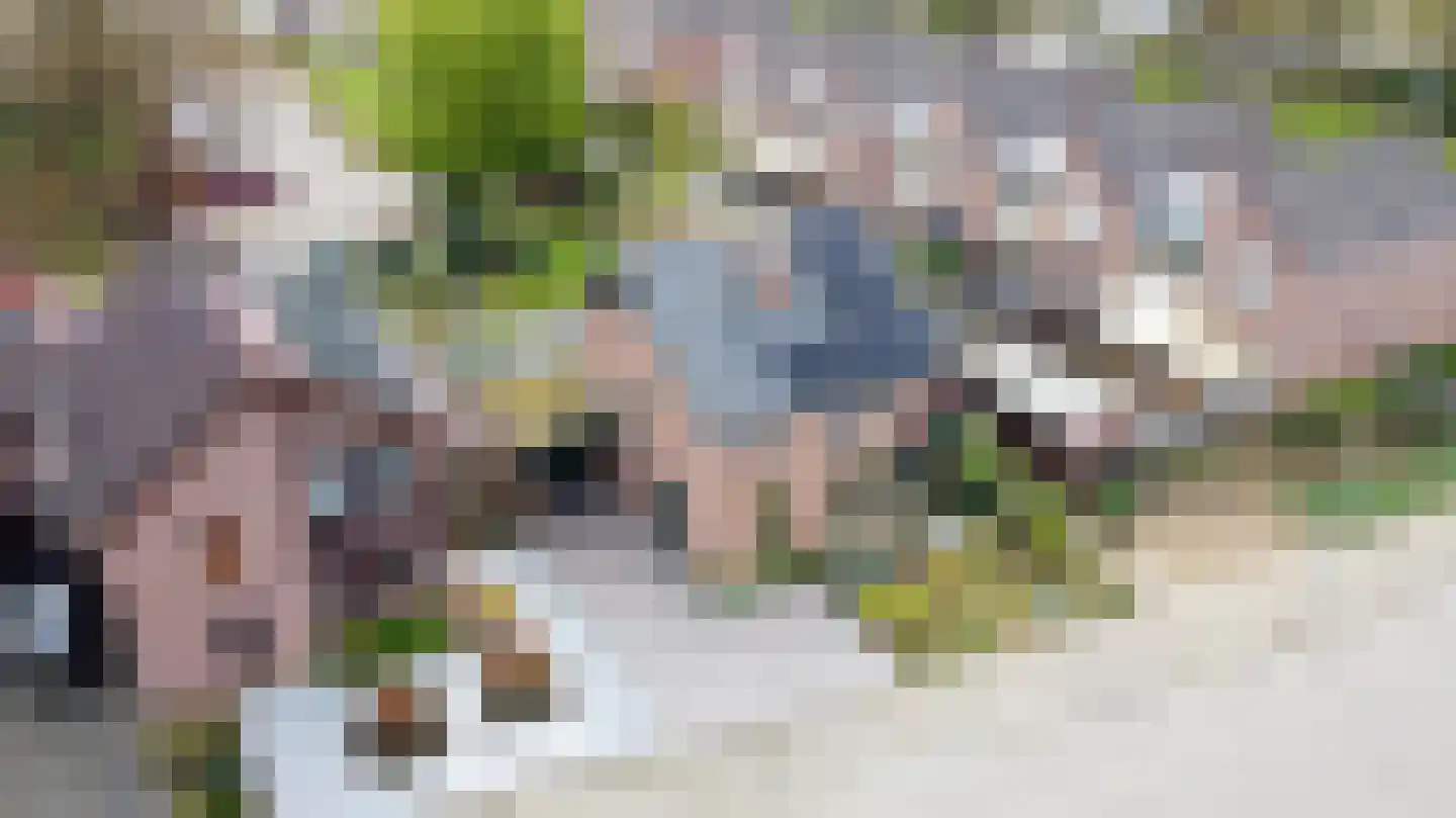 Lariksstraat 26 Echt thumbnail 53