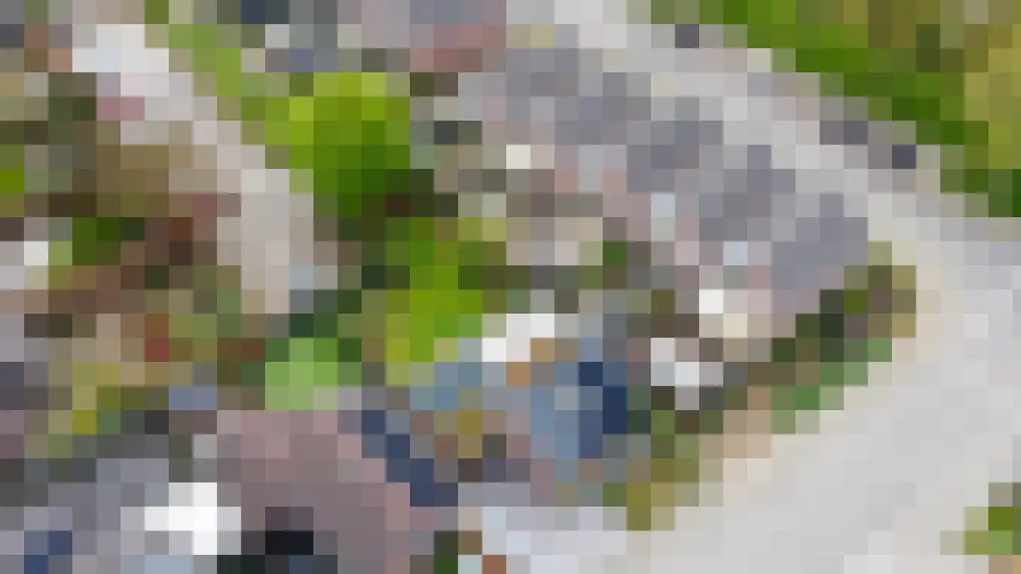Lariksstraat 26 Echt thumbnail 56