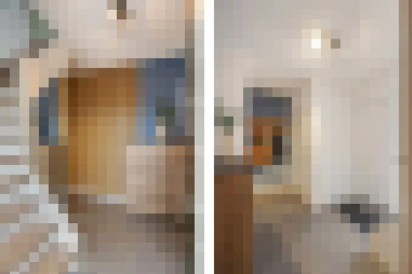 Lariksstraat 26 Echt thumbnail 8