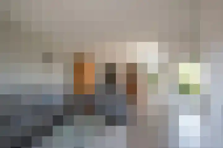 Lariksstraat 3 Alphen aan den Rijn thumbnail 20