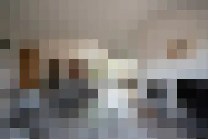 Lariksstraat 3 Alphen aan den Rijn thumbnail 21