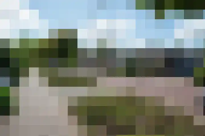Lariksstraat 3 Alphen aan den Rijn thumbnail 37