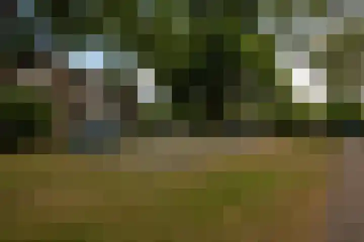 Lariksstraat 3 Alphen aan den Rijn thumbnail 39